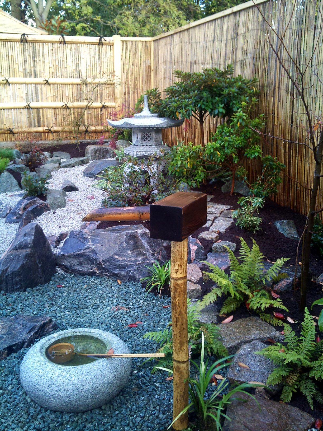 View into the Northbury wildlife pond